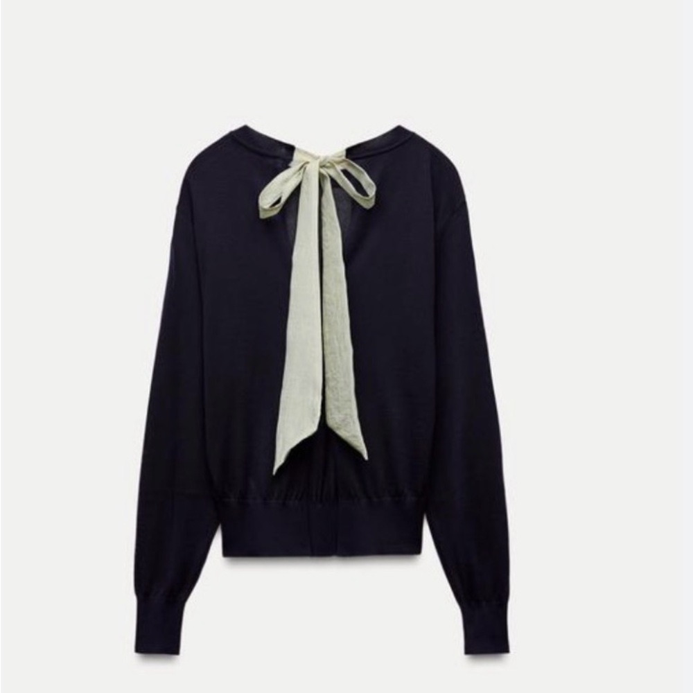 ZARA Navy Sheer Knit Bow Back Sweater Size L